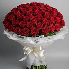 Букет 101 Красная роза Блэк Мэджик в Мурашах