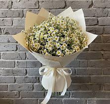 Букет цветов из:  Ромашки #REPLACE_PRED# Мурашах