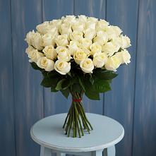 Букет 51 Белая роза Эдлесс Лав в Мурашах