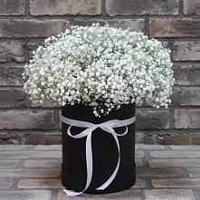 Цветочная композиция из Гипсофила в шляпной коробке #REPLACE_PRED# Мурашах