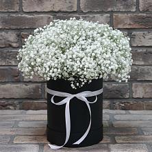 Цветочная композиция из Гипсофила в шляпной коробке в Мурашах