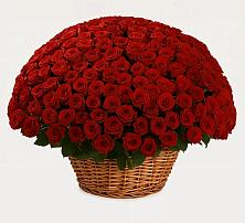 Премиум букет из: Розы в Мурашах