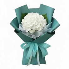 Букет цветов из:  Гортензия в Мурашах